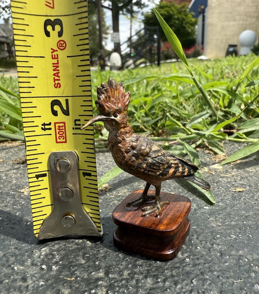 Rare Antique Austrian Vienna Cold Painted Bronze of Hoopoe Bird0