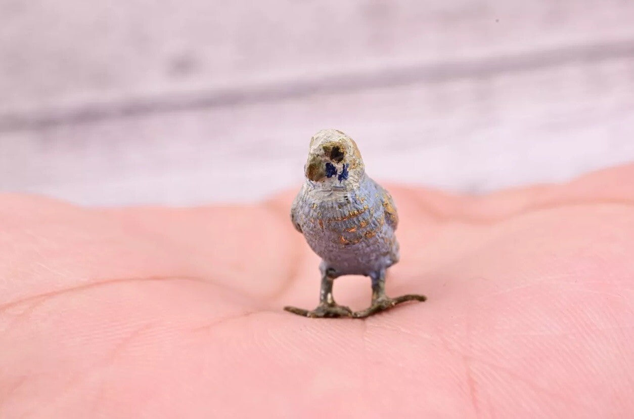 Lovely Antique Austrian Vienna Cold Painted Bronze Figure of Gray Blue Parakeet9