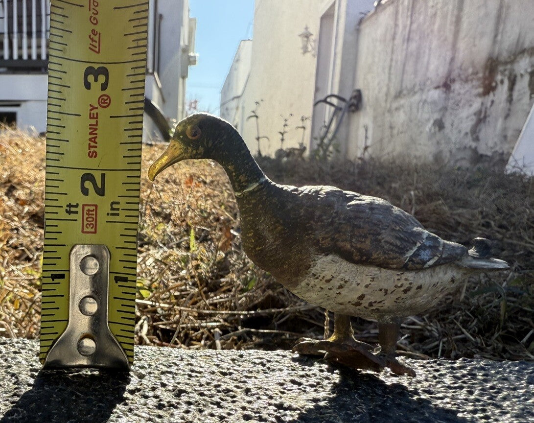 High Quality Antique Austrian Vienna Cold Painted Bronze Figure of Mallard Duck6