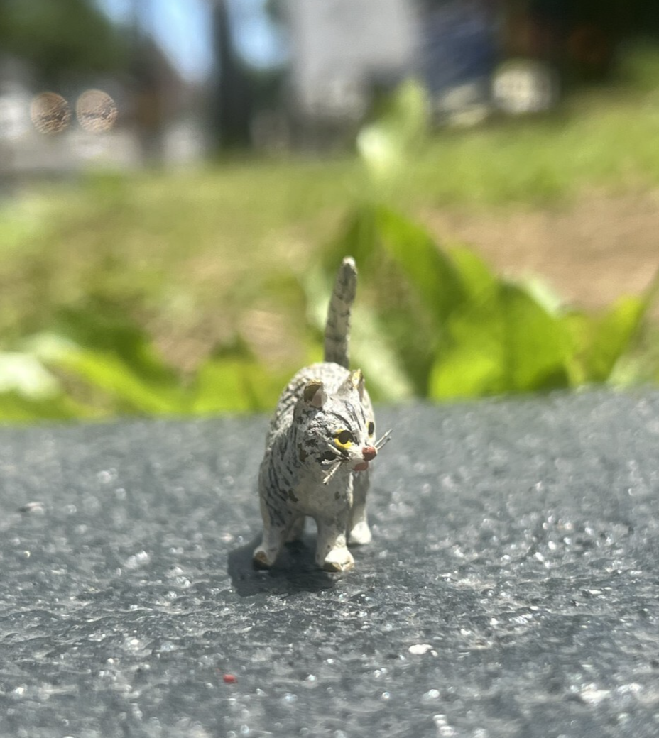 Cute Austrian Vienna Cold Painted Bronze Figure of a Small Standing Cat4