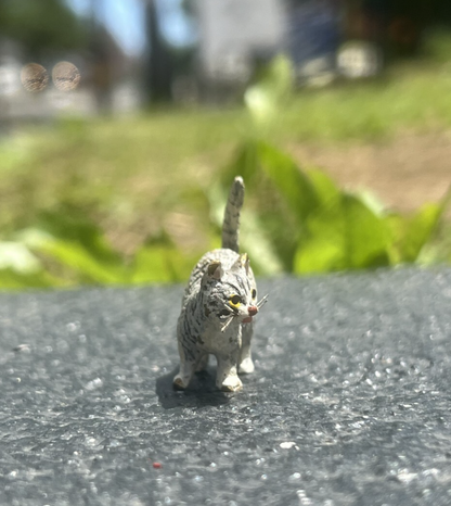 Cute Austrian Vienna Cold Painted Bronze Figure of a Small Standing Cat4
