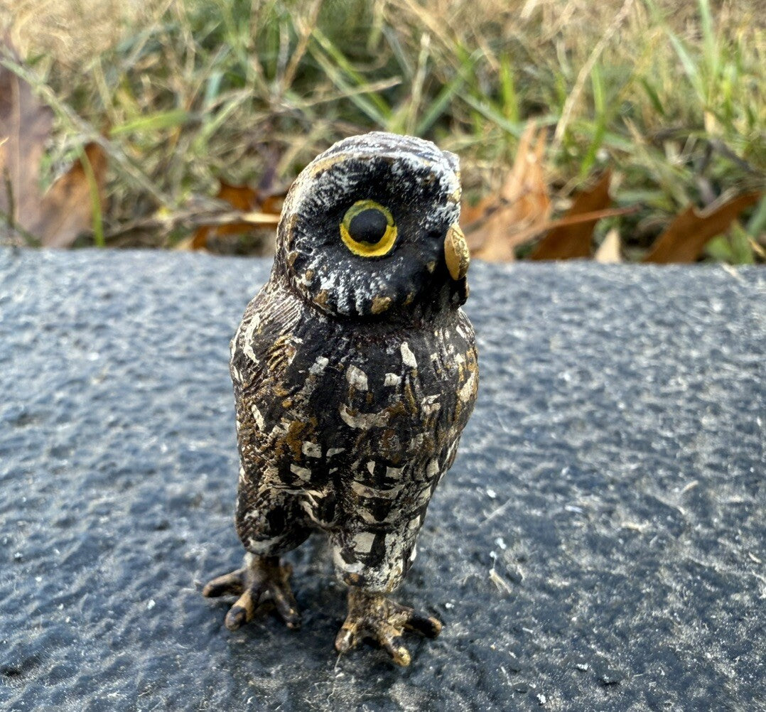 Amazing Antique Austrian Vienna Cold Painted Bronze Figure of Owl3