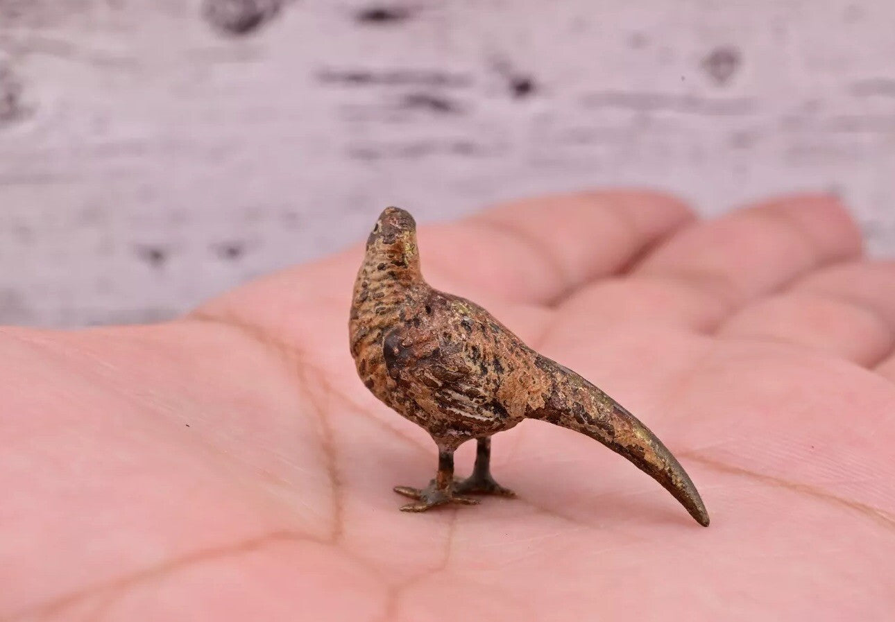 Amazing Antique Austrian Vienna Cold Painted Bronze Figure of Tiny Pheasant4