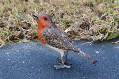 Lovely Austrian Vienna Cold Painted Bronze Bird Figure of European Robin7