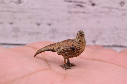 Amazing Antique Austrian Vienna Cold Painted Bronze Figure of Tiny Pheasant0