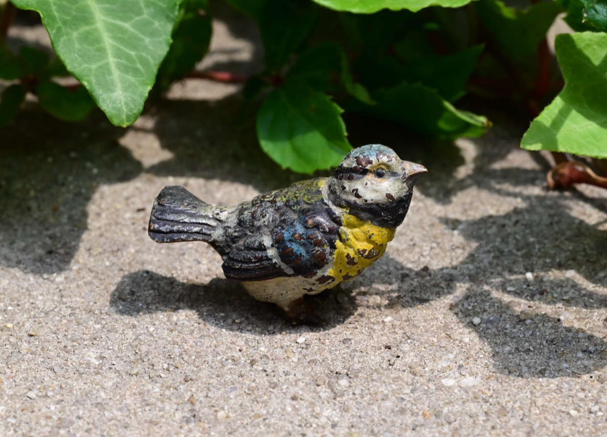 Lovely Antique 1900s Austrian Vienna Cold Painted Bronze Blue Tit Songbird 2