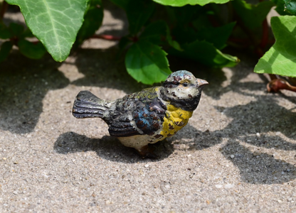 Lovely Antique 1900s Austrian Vienna Cold Painted Bronze Blue Tit Songbird 2