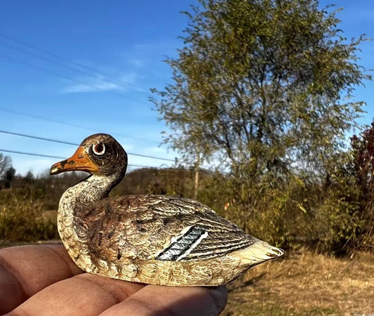 Antique Austrian Vienna Cold Painted Bronze Figure of Sitting Mallard Duck0
