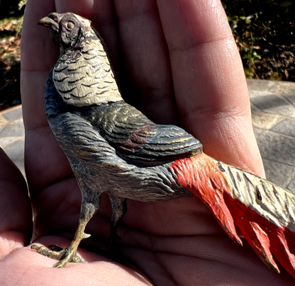 Antique Austrian Vienna Cold Painted Bronze Figure of Amherst Pheasant16