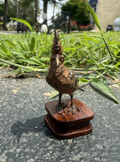 Rare Antique Austrian Vienna Cold Painted Bronze of Hoopoe Bird6
