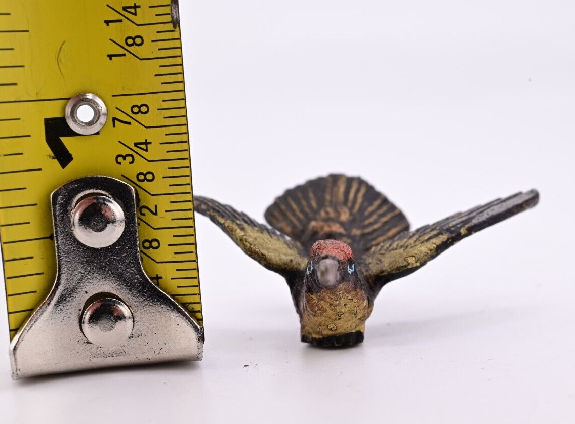 Rare Form Antique Austrian Vienna Cold Painted Bronze Figure of Hummingbird6