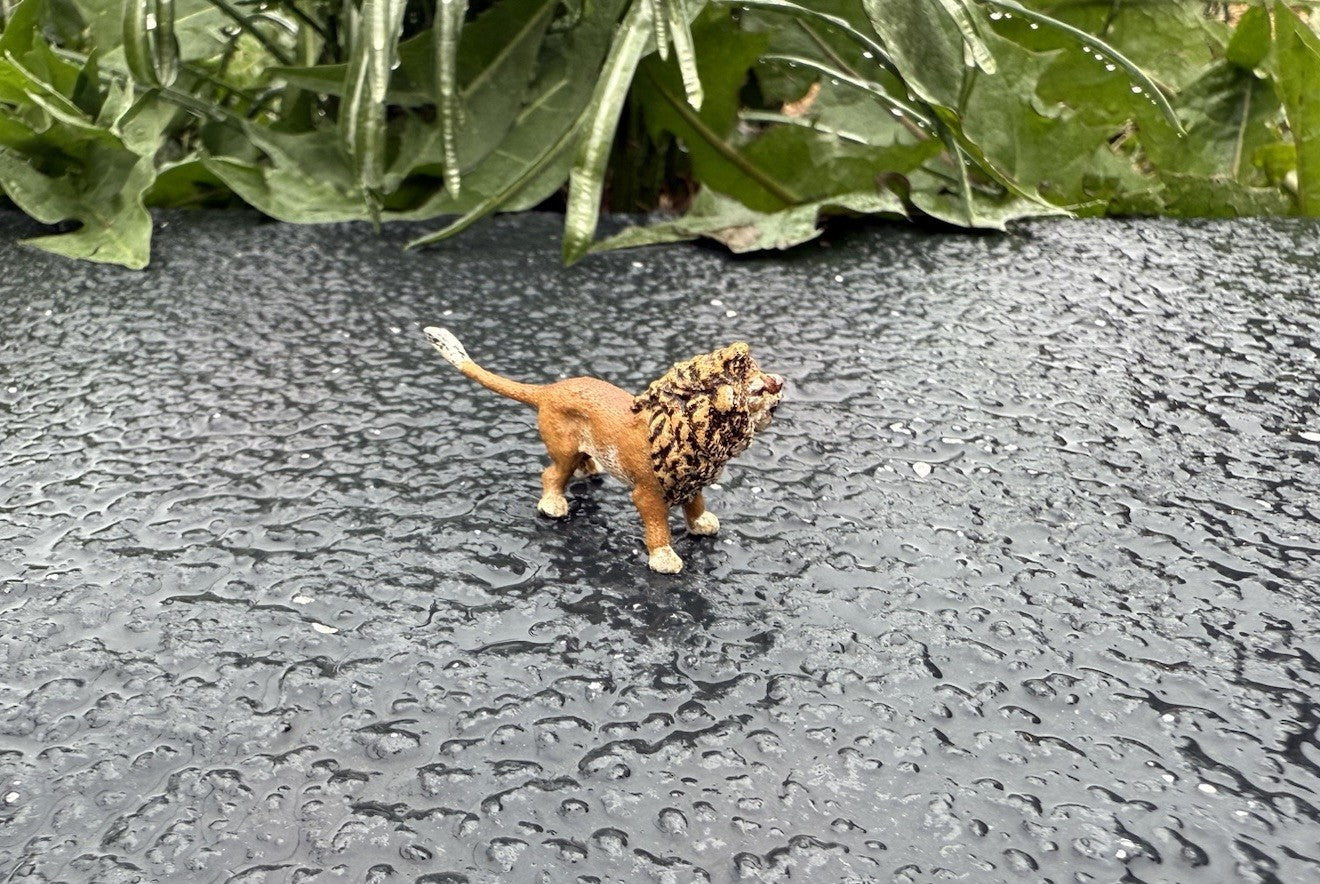 Amazing Miniature Antique Austrian Vienna Cold Painted Bronze Figure of Lion3