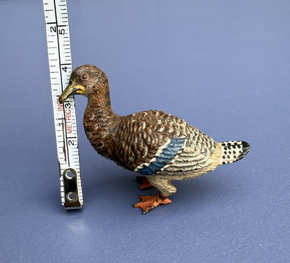 Life-Like Antique Austrian Vienna Cold Painted Bronze Figure of Duck7