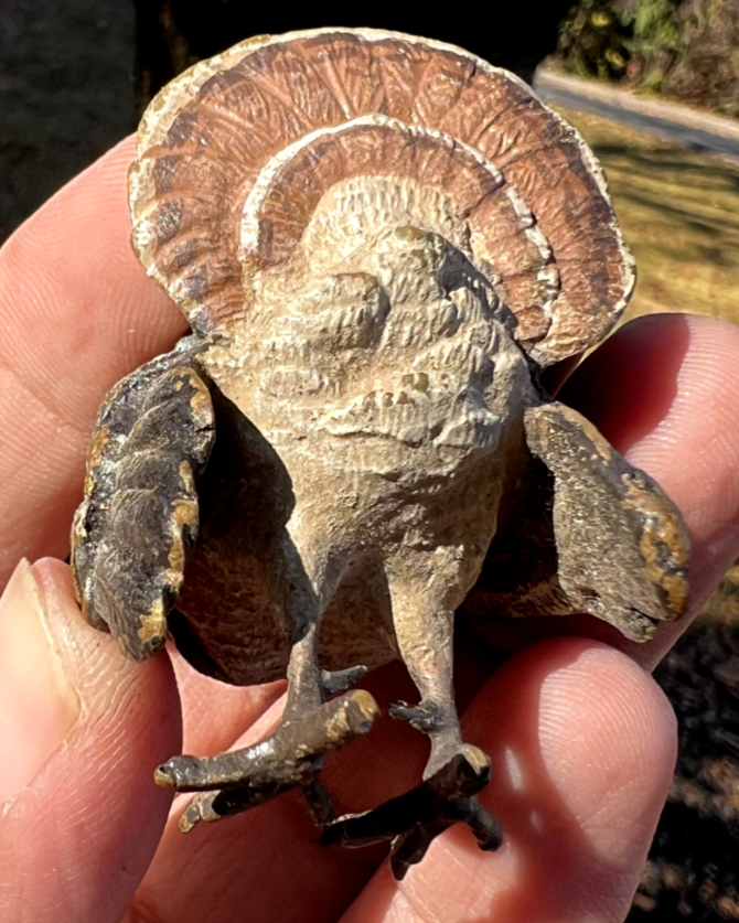 Beautiful  Antique Austrian Vienna Cold Painted Bronze Figure of Turkey10