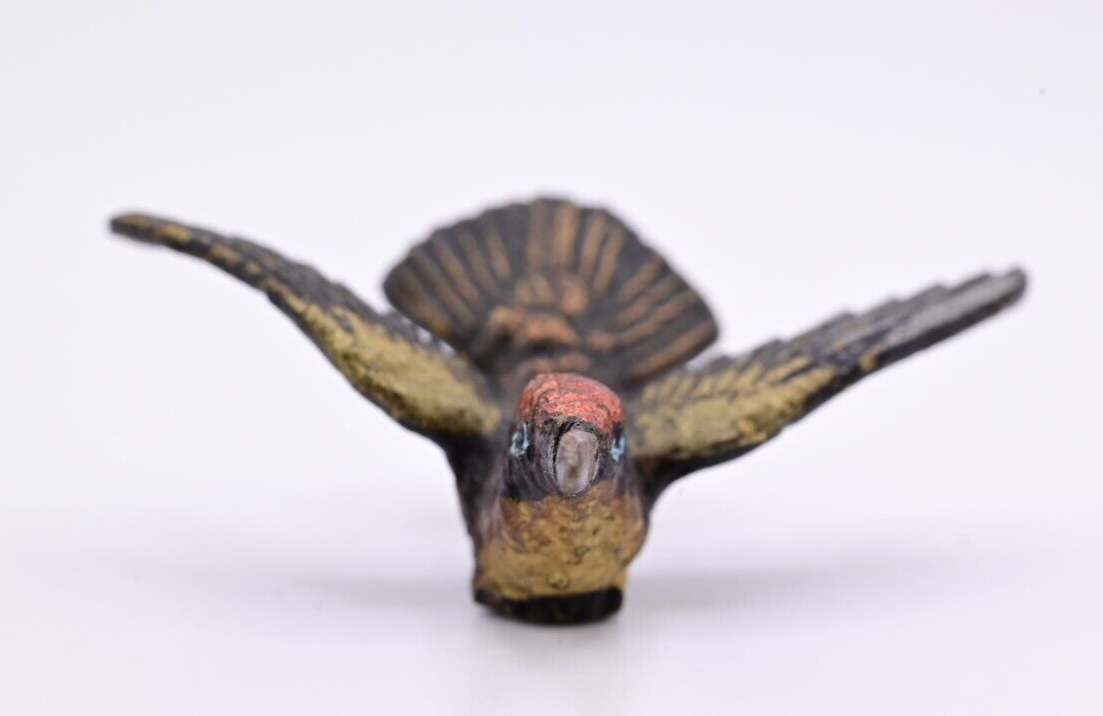 Rare Form Antique Austrian Vienna Cold Painted Bronze Figure of Hummingbird4