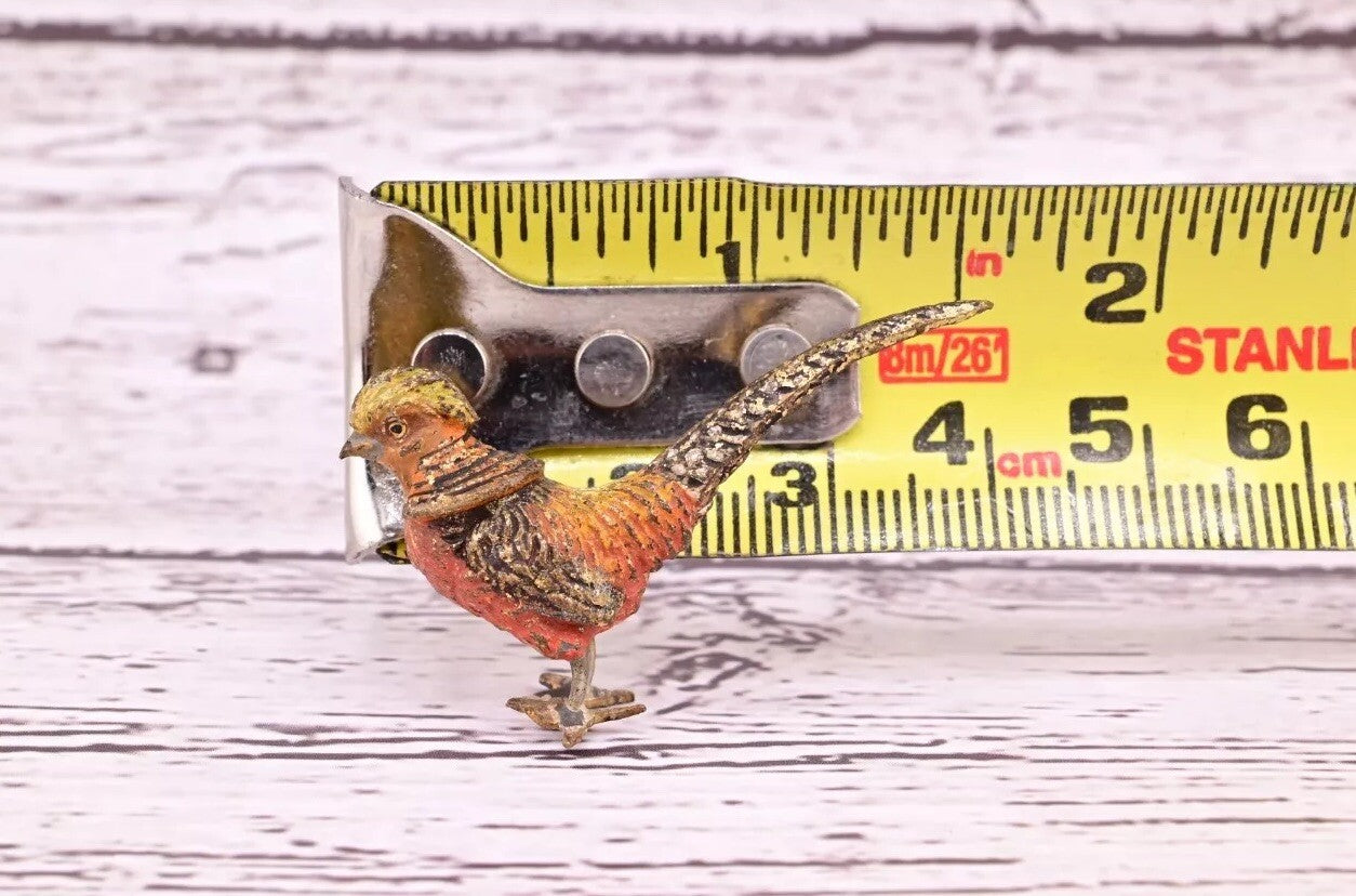 Gorgeous Antique Austrian Vienna Cold Painted Bronze Figure of Little Pheasant10