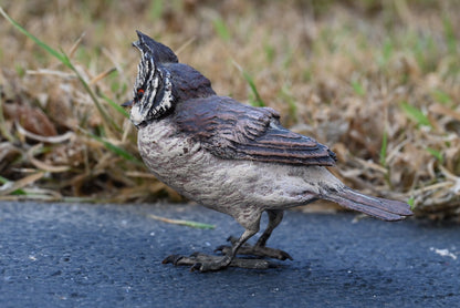 Gorgeous Austrian Vienna Cold Painted Bronze Figure of Black-crested Titmouse2
