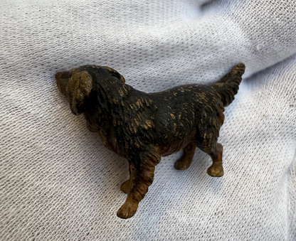 Cute Small Austrian Vienna Cold Painted Bronze Figure of Labrador Dog4