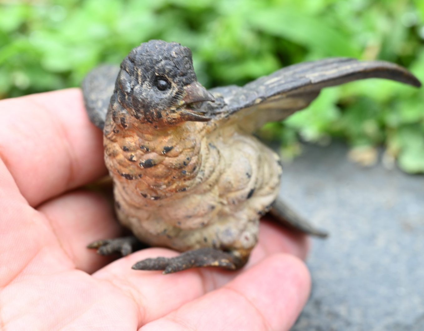 Detailed Antique Austrian Vienna Cold Painted Bronze Figure of Cuckoo Bird0