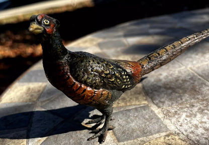 Gorgeous Large Antique Austrian Vienna Cold Painted Bronze Figure of Pheasant11