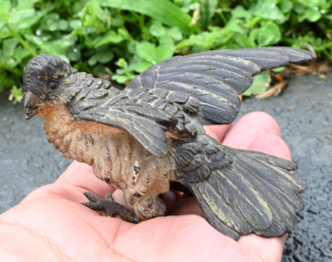 Detailed Antique Austrian Vienna Cold Painted Bronze Figure of Cuckoo Bird5