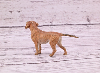 Antique 1900s Austrian Vienna Cold Painted Bronze Figure of Labrador Retriever4