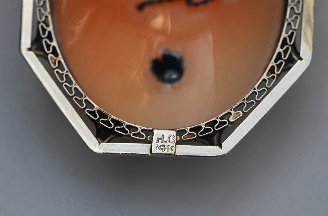 Gorgeous Carved Shell Cameo Brooch Pendant With Diamond Necklace 14K White Gold5
