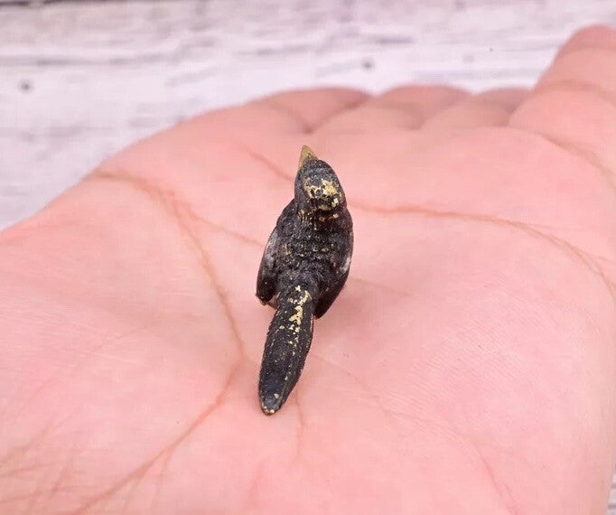 Highly Detailed Antique Austrian Vienna Cold Painted Bronze Small Black Bird10