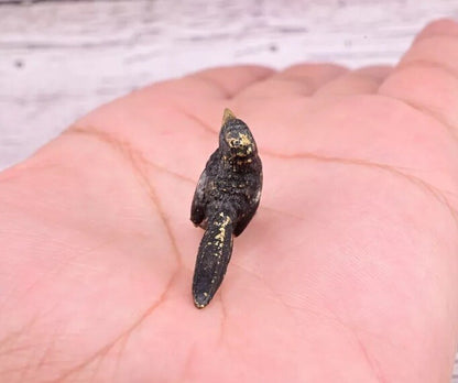 Highly Detailed Antique Austrian Vienna Cold Painted Bronze Small Black Bird10