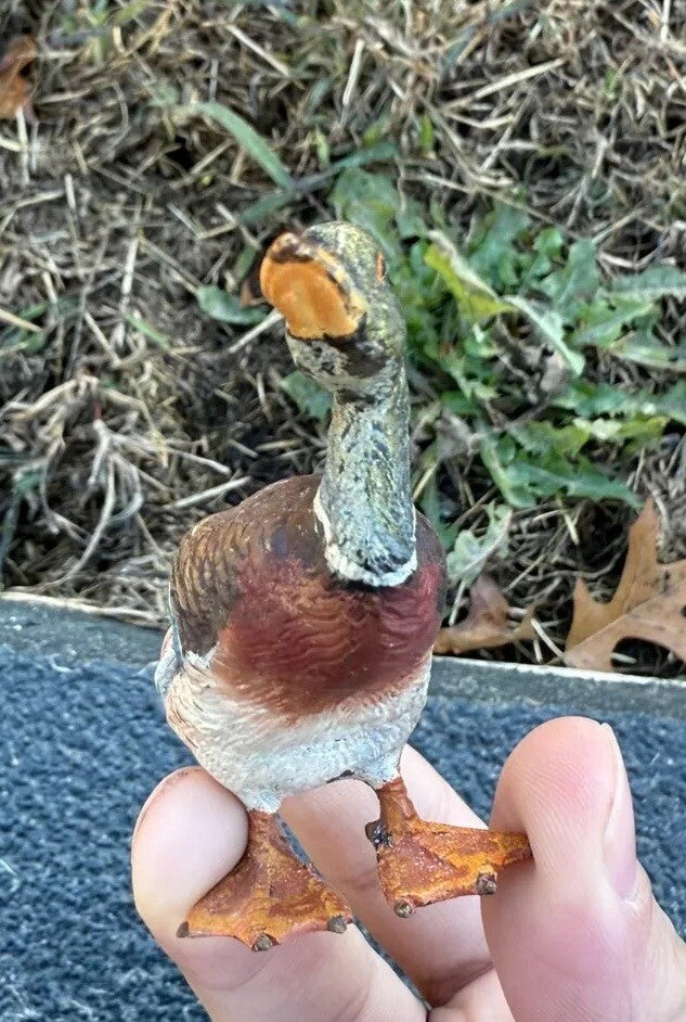 Beautiful Antique Austrian Vienna Cold Painted Bronze Figure of Mallard Duck6