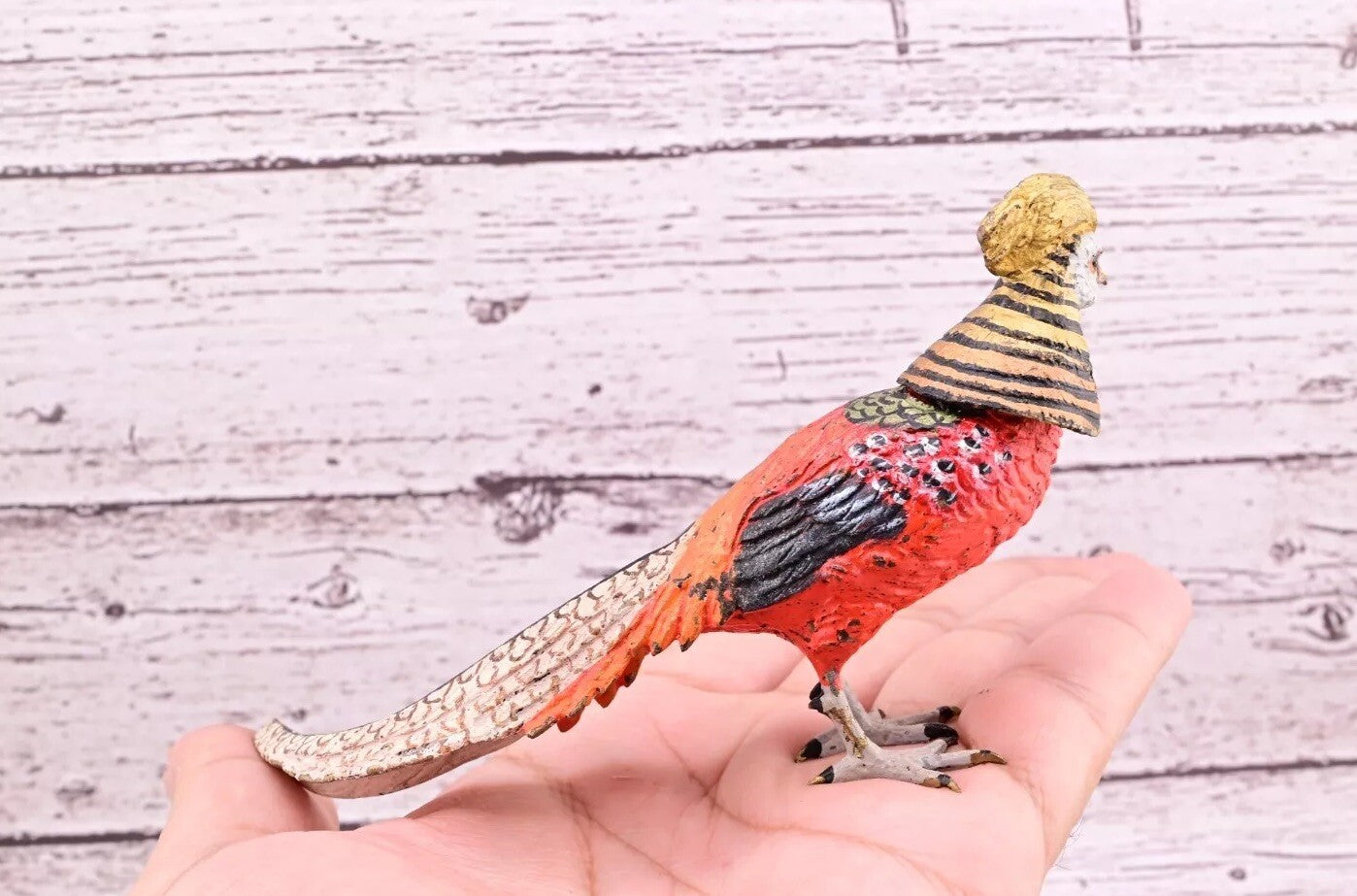Attractive Antique Austrian Vienna Cold Painted Bronze Figure of Golden Pheasant11
