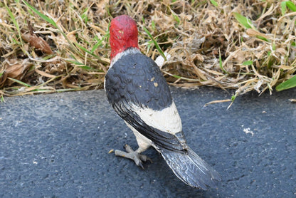 Life - Like Austrian Vienna Cold Painted Bronze Figure of Red Headed Woodpecker3