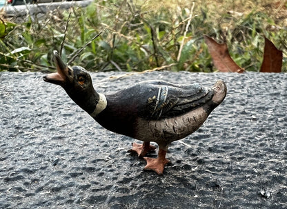 Cute Antique Austrian Vienna Cold Painted Bronze Figure of Small Mallard Duck0