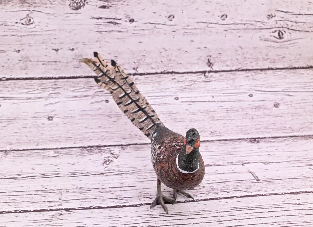 Antique Austrian Vienna Cold Painted Bronze Figure of Large Pheasant Bird5