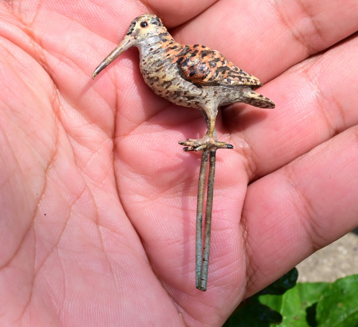 Beautiful Antique Austrian Vienna Cold Painted Bronze Figure of Woodcock5