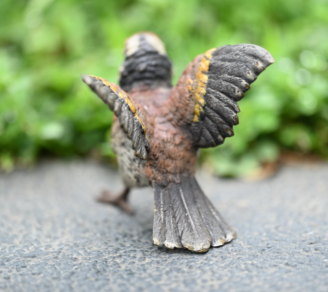 Amazing Life - Like Austrian Vienna Cold Painted Bronze Figure of Goldfinch Bird4