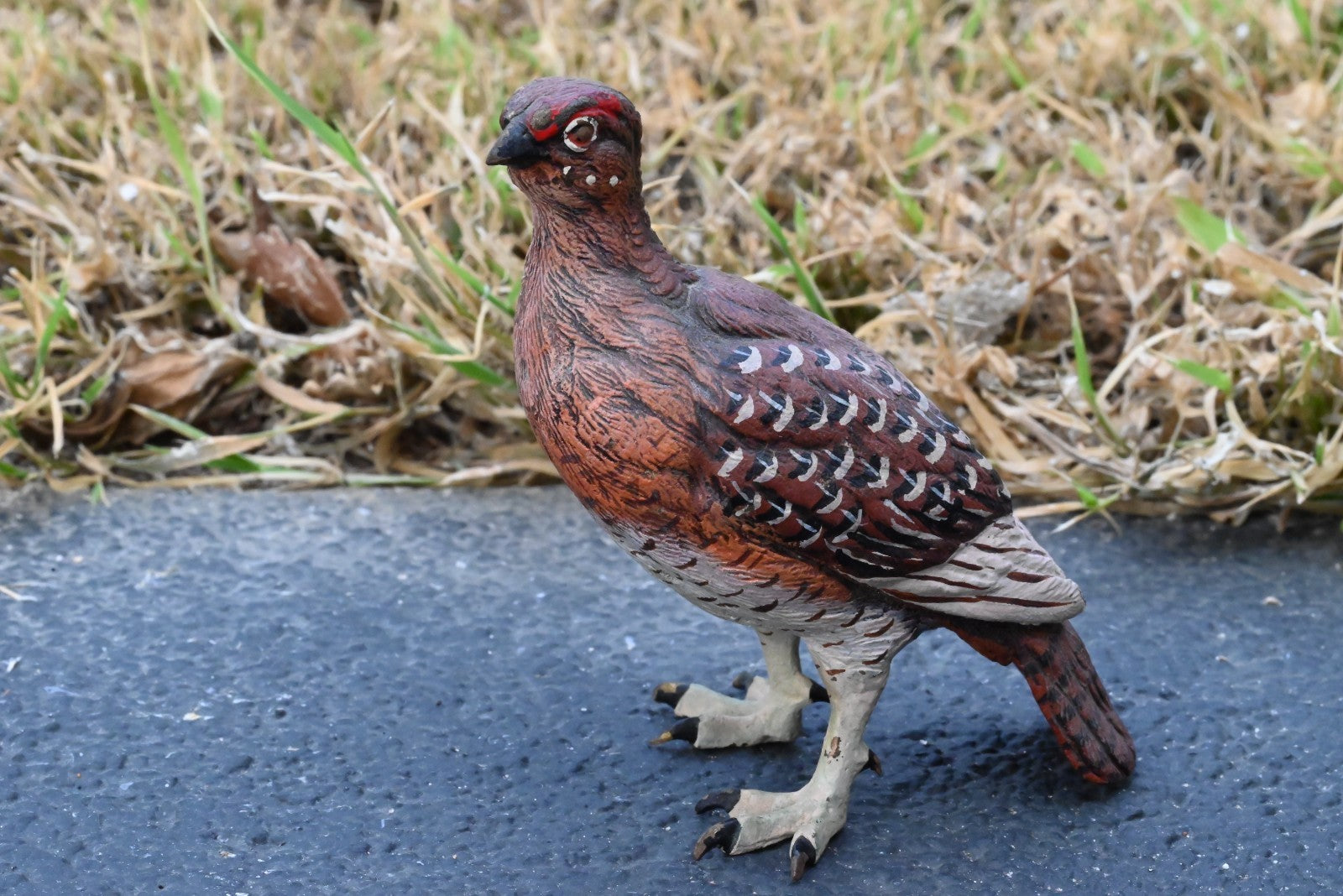 Beautiful Austrian Vienna Cold Painted Bronze Figure of  Partridge Game Bird0