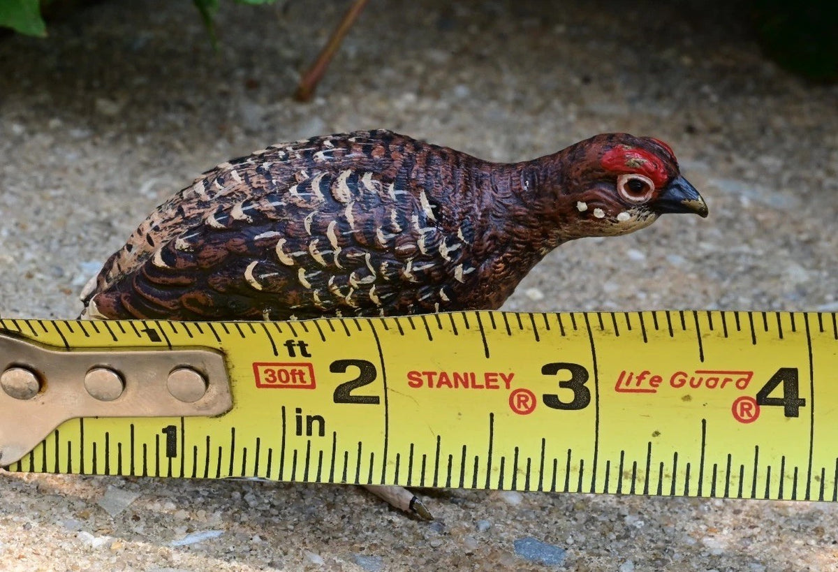 Austrian Vienna Cold Painted Bronze Injured Game Bird6