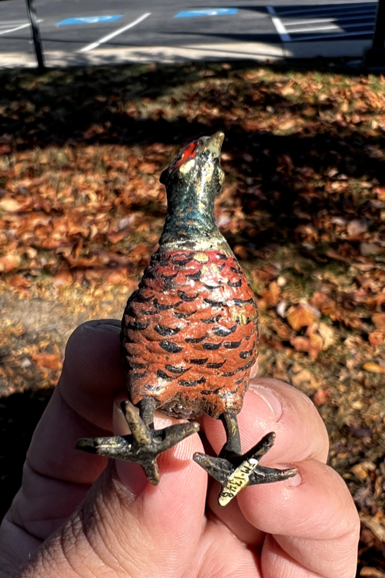 Small Antique Austrian Vienna Cold Painted Bronze Figure of Ring Neck Pheasant5