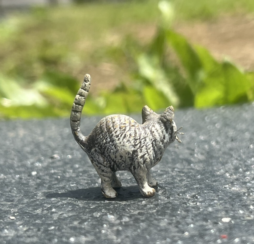 Cute Austrian Vienna Cold Painted Bronze Figure of a Small Standing Cat3