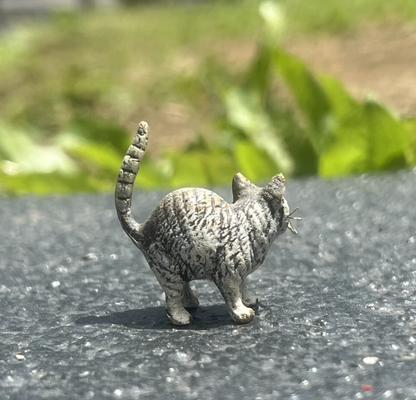 Cute Austrian Vienna Cold Painted Bronze Figure of a Small Standing Cat3
