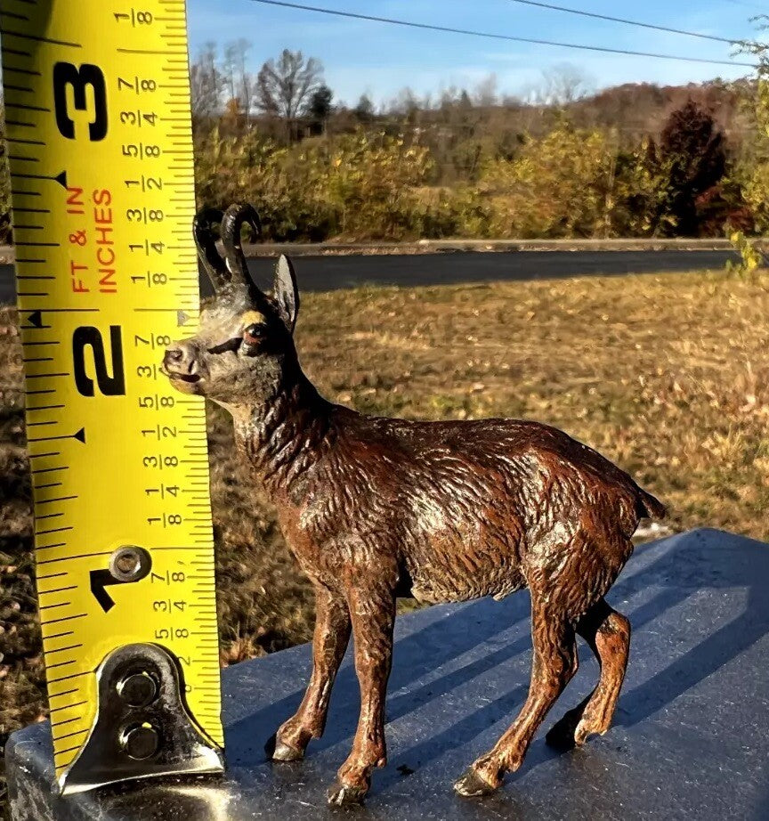 Stunning Antique Austrian Vienna Cold Painted Bronze Figure of Goat0