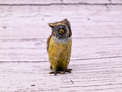 High Quality Antique Austrian Vienna Cold Painted Bronze Figure of Owl2