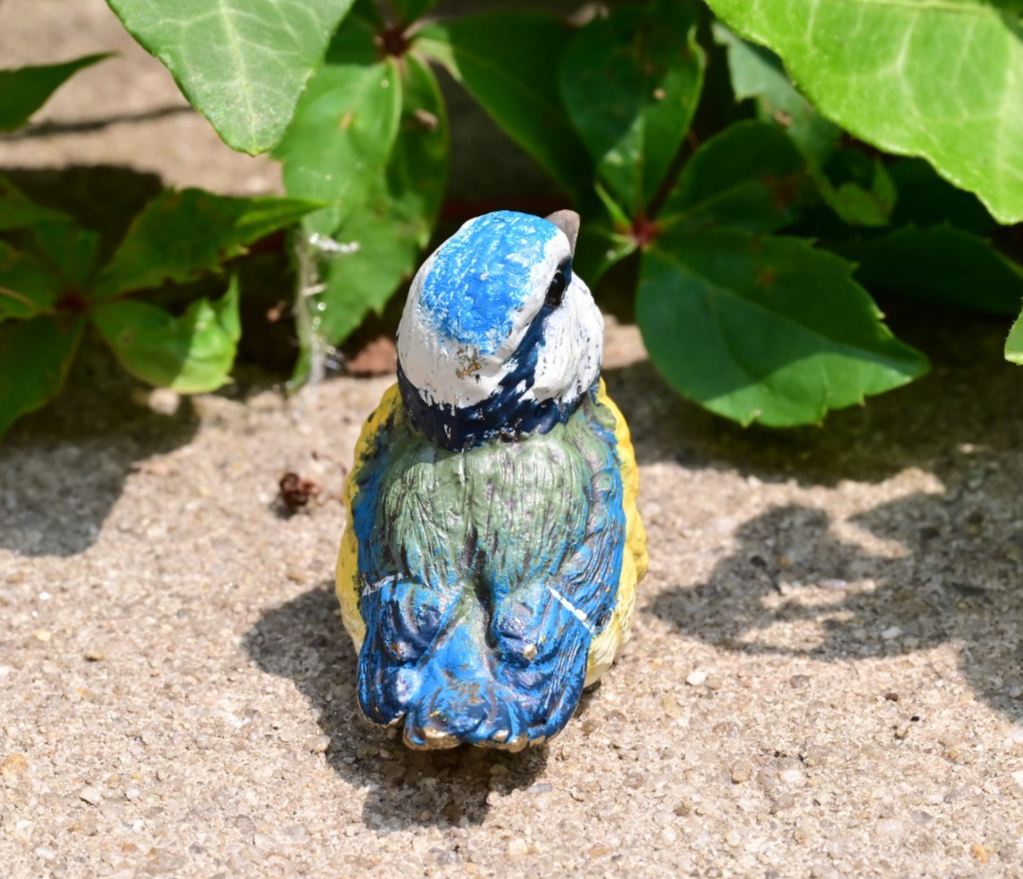 Lovely Austrian Vienna Cold Painted Bronze Figure of Blue & Yellow Tit Songbird6