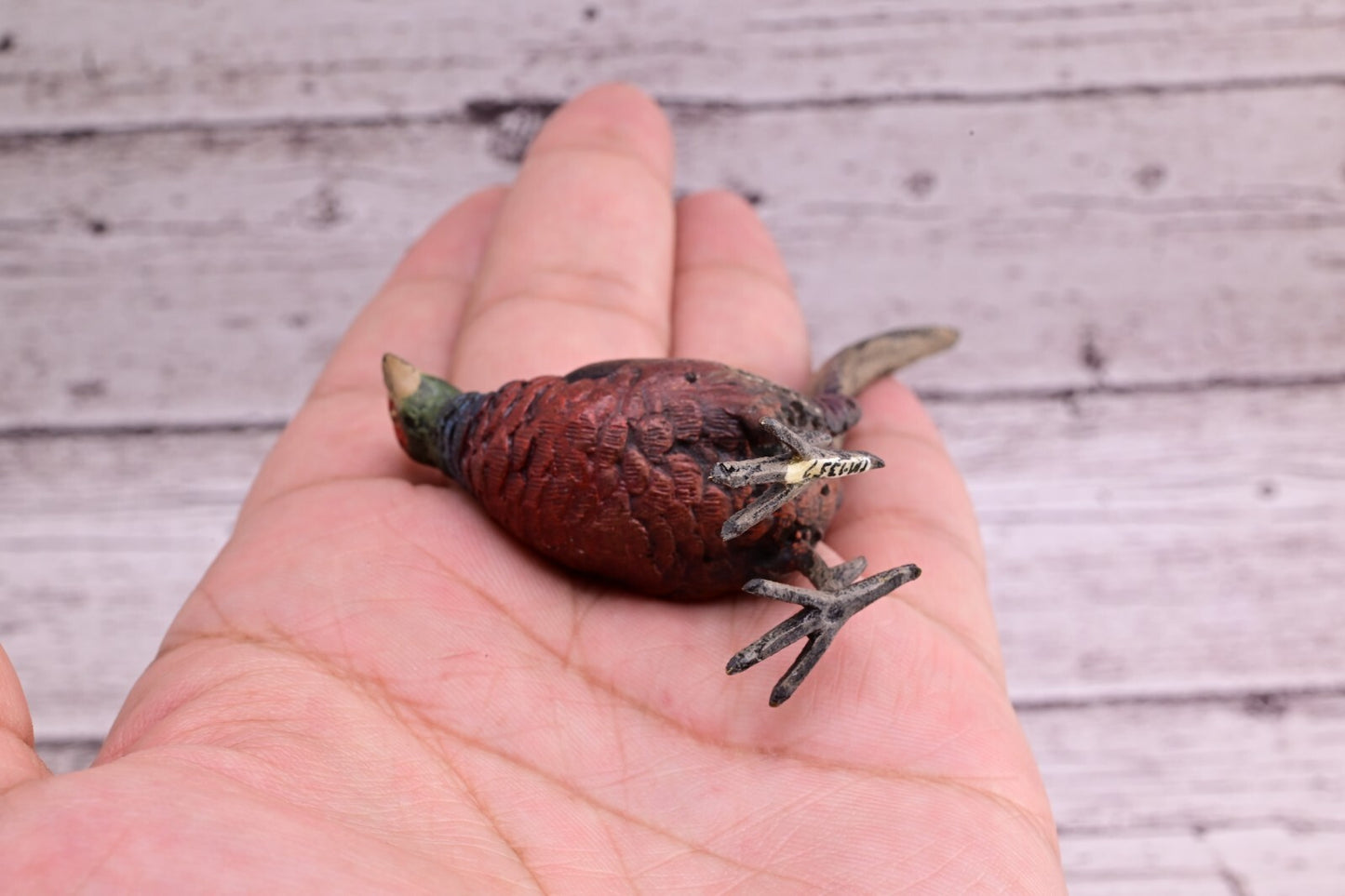 Stunning Antique Austrian Vienna Cold Painted Bronze of Ring Neck Pheasant11