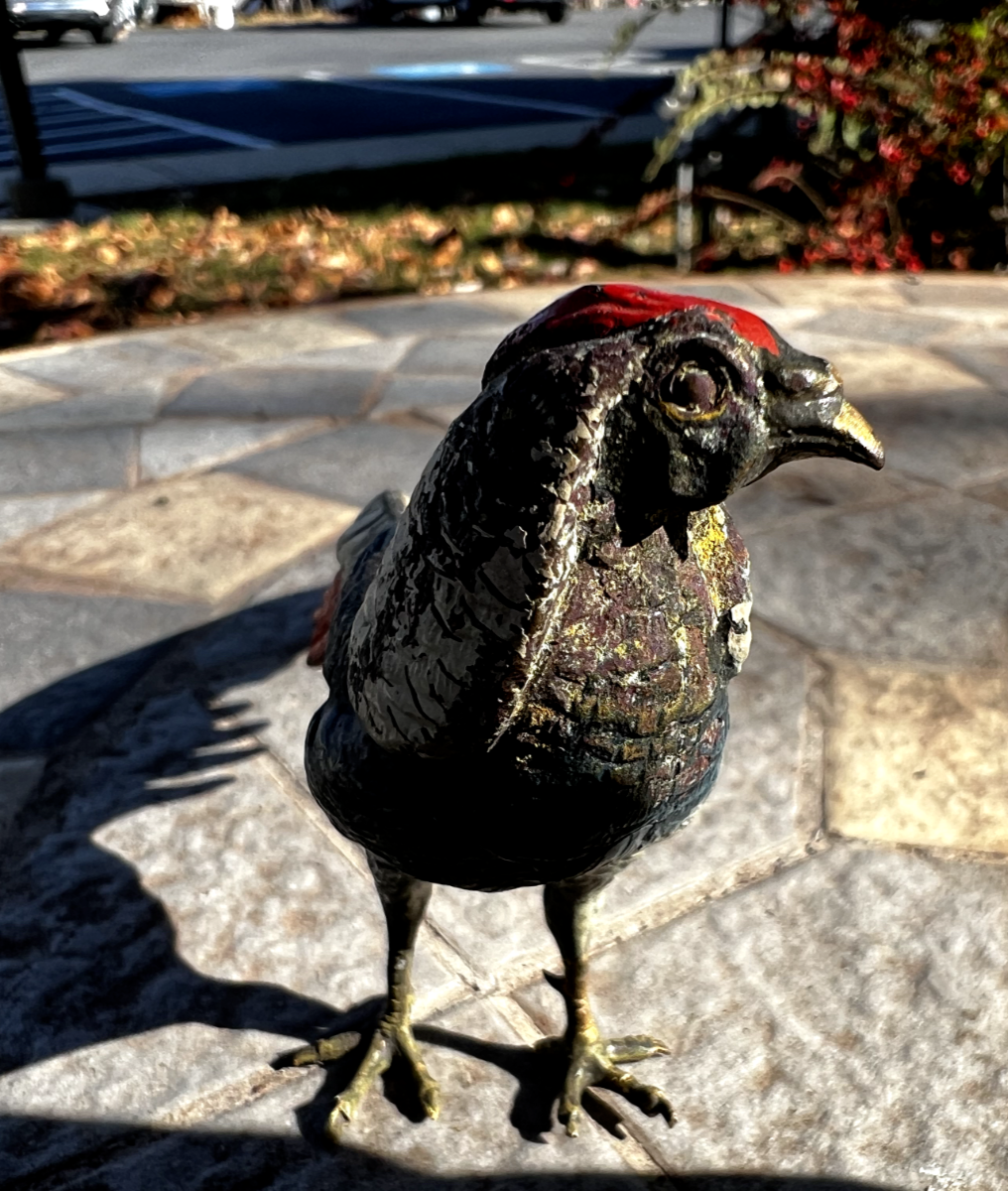 Antique Austrian Vienna Cold Painted Bronze Figure of Amherst Pheasant2