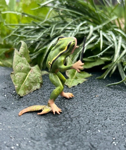 Lovely 20th C. Cold Painted Austrian Vienna Bronze Figure of Frog Maestro2