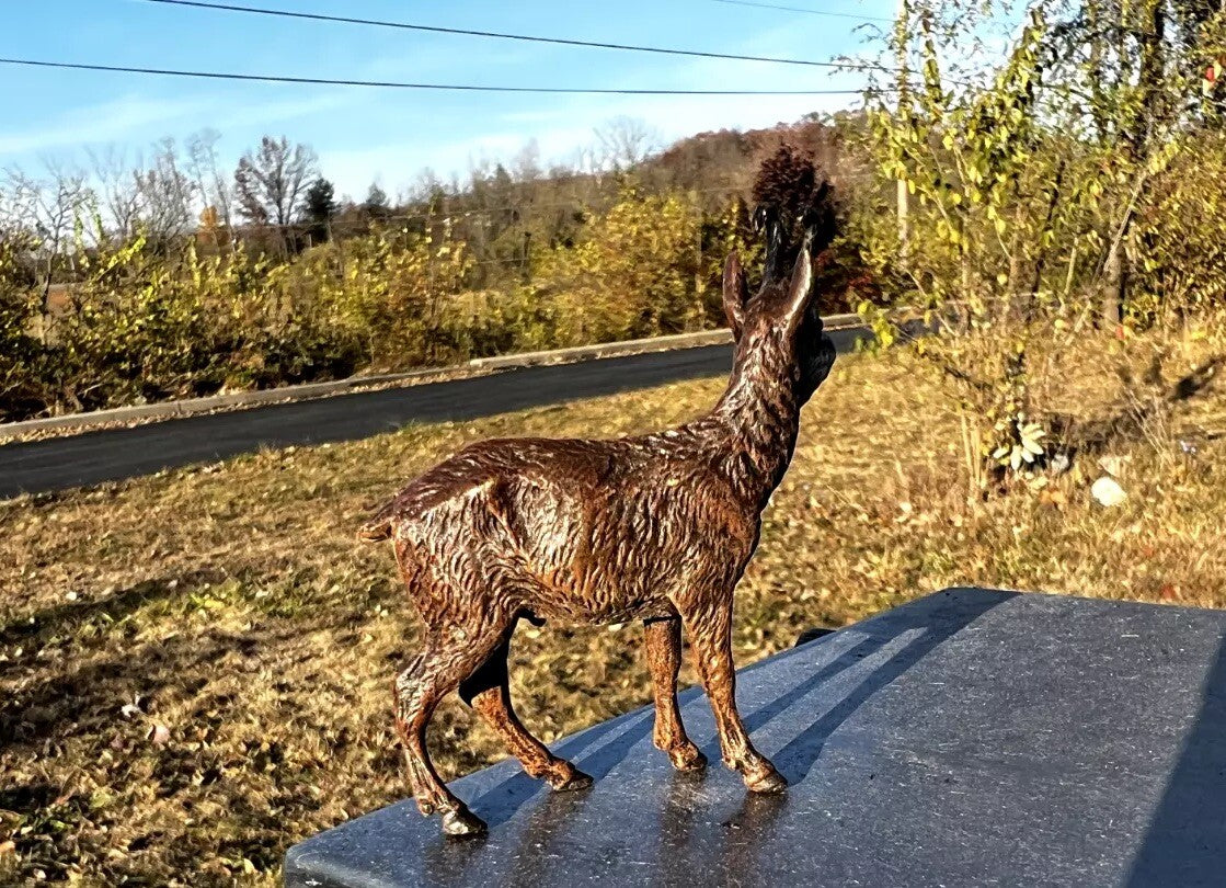 Stunning Antique Austrian Vienna Cold Painted Bronze Figure of Goat4