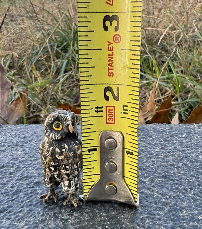 Amazing Antique Austrian Vienna Cold Painted Bronze Figure of Owl2