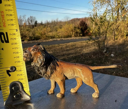 Wonderful Antique Austrian Vienna Cold Painted Bronze Figure of Lion6